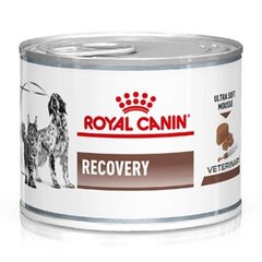 Вологий корм для дорослих собак Royal Canin Recovery 195г