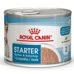 Вологий корм для новонароджених собак Royal Canin Starter Mouse 195 г ж/б